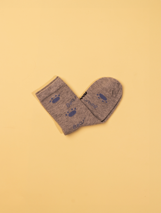 Baby Bear Bliss (Pack of 3 Socks)